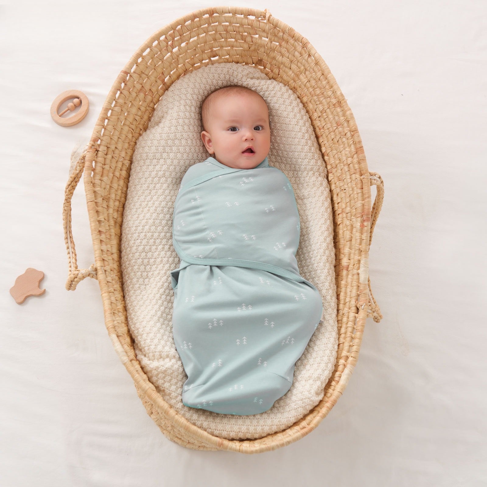 bebe dans nid dange bebe dans panier